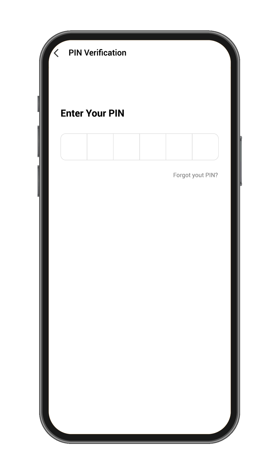 Virtual Account